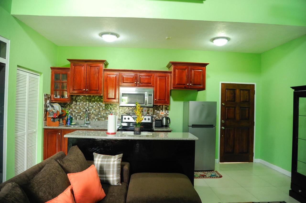 Gk Luxury Apartment Kingston Exterior photo